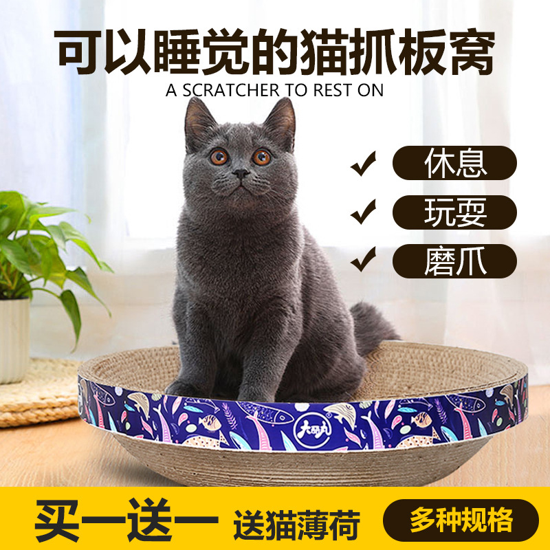 邢臺(tái)多麗網(wǎng)絡(luò)科技有限公司