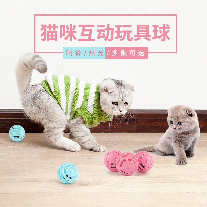 深圳卡諾寵物有限公司