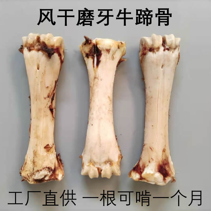 南昌秋田寵物有限公司