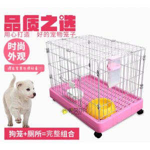 中山伊貝爾寵物用品有限公司