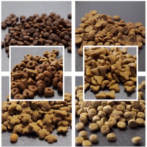 寵物食品海洋魚味無谷成幼貓糧貼牌定制代加工