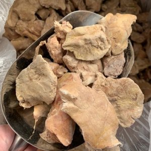 日照貝納寵物食品有限公司