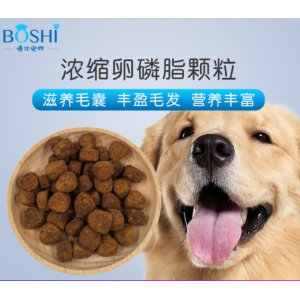 寵物泰迪金毛濃縮卵磷脂顆粒貼牌OEM/ODM