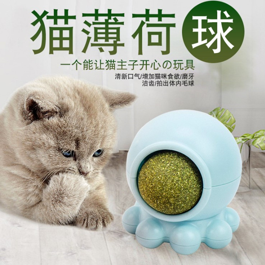 煙臺派滋汪特寵物用品有限公司