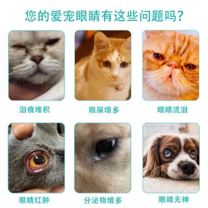 貓眼藥水代加工貼牌OEM/ODM