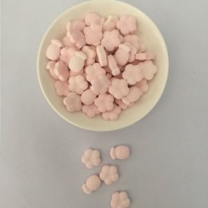 寵物維生素片貼牌OEM/ODM