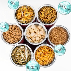 三尺松鼠血鸚鵡魚(yú)飼料500ml