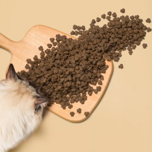 遼寧海辰寵物有機(jī)食品有限公司