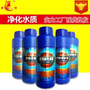 印尼海水硝化細(xì)菌觀賞魚500ml