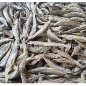 青島蔚藍(lán)智創(chuàng)動(dòng)物營(yíng)養(yǎng)科技有限公司