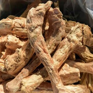 濰坊佳誠(chéng)寵物用品有限公司