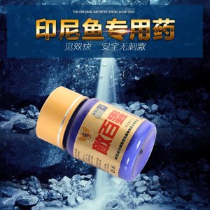 印尼 錦鯉觀賞魚 60克