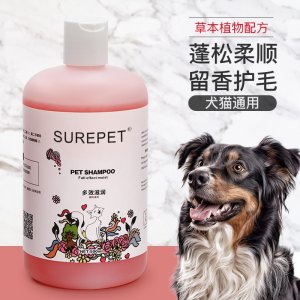 東莞市金巨寵物用品有限公司