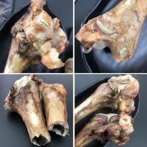 臺(tái)州市萌一派寵物用品有限公司