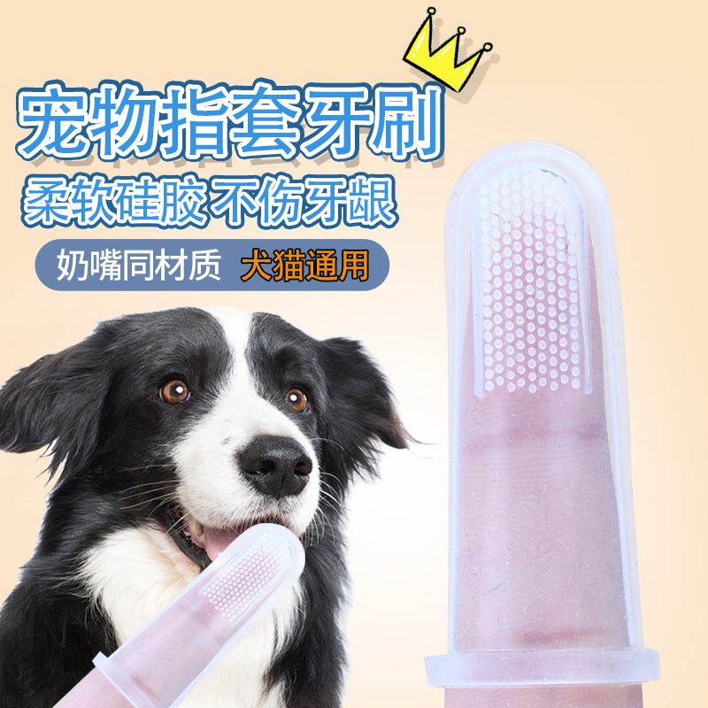 常寶寵物硅膠手指牙刷貓犬