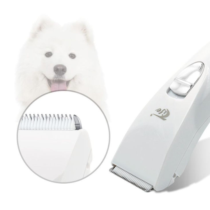 東莞市特鋒電子有限公司