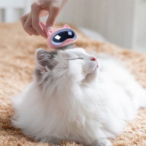 徐州靈喵寵物用品有限公司