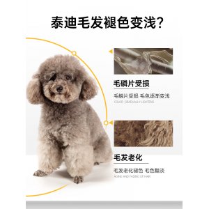 廣州仙羨美生物科技有限公司