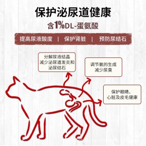 杭州青楊網(wǎng)絡(luò)科技有限公司