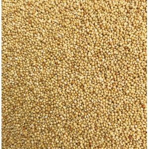 新沂市御鳥寵物用品有限公司