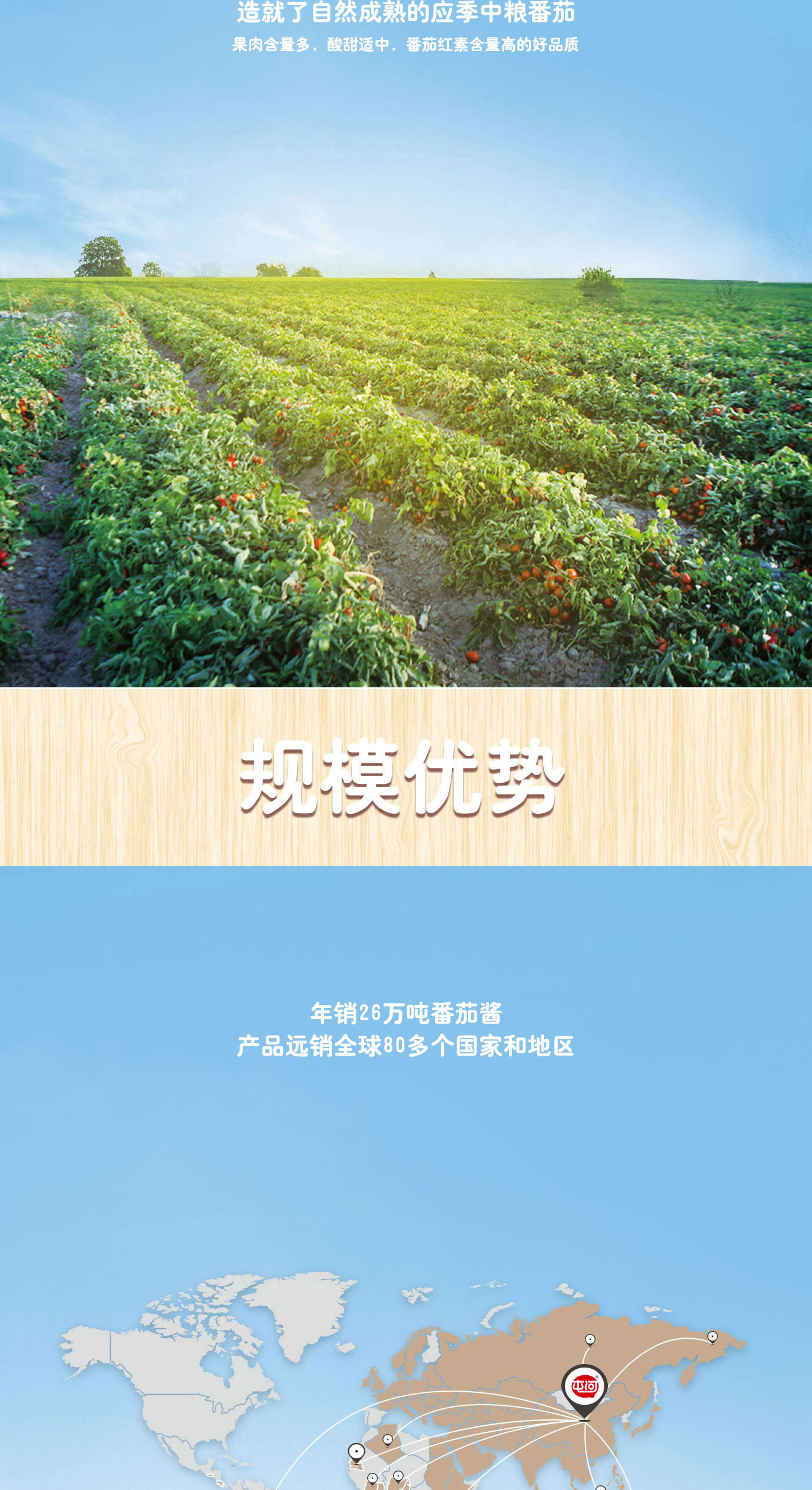 直灌番茄醬20kg簡(jiǎn)介_02.jpg
