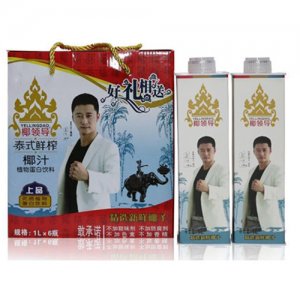 椰領(lǐng)導(dǎo)椰子汁方盒1L