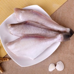 南春耗兒魚(yú)