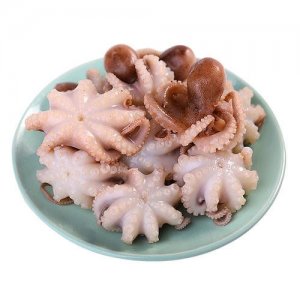 南春八爪魚(yú)