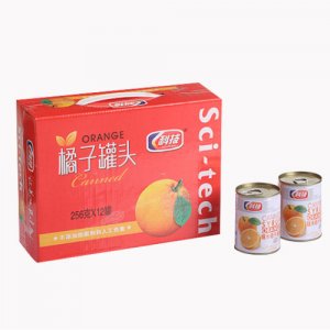 科技橘子罐頭256g