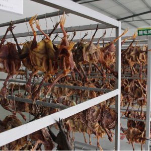 彭老哥未標(biāo)題-1