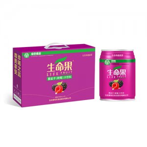 生命果覆盆子樹莓汁飲料255ml箱裝