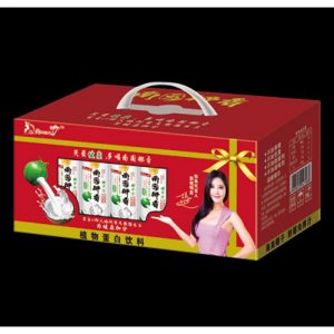 南國(guó)椰香椰子汁245ml禮盒