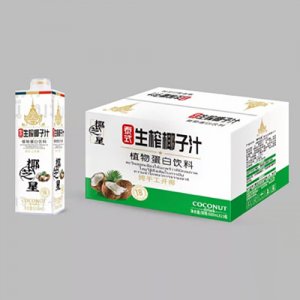 椰芝星（廣東）食品有限公司