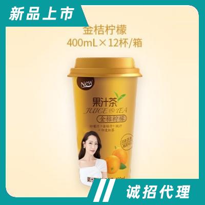 沃爾旺杯裝果汁茶飲料金桔檸檬400ml×12杯