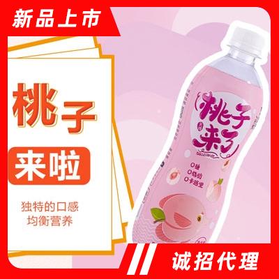 河北喜果食品科技有限公司