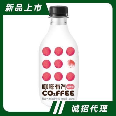 北京爽氣飲料科技有限公司