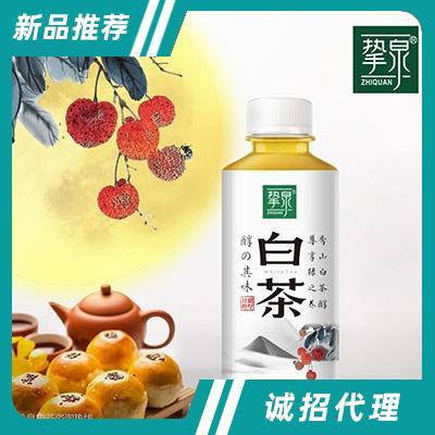 摯泉荔枝白茶450ml
