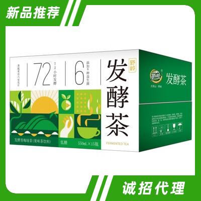 野嶺發(fā)酵青梅綠茶550mlX15