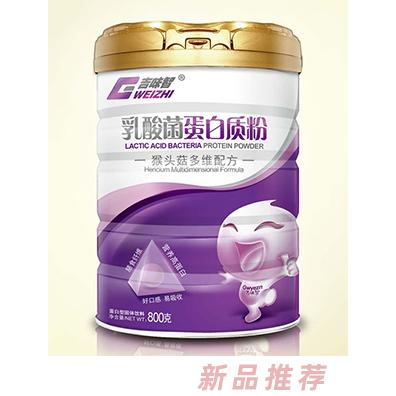 吉味智乳酸菌蛋白質(zhì)粉 猴頭菇多維配方