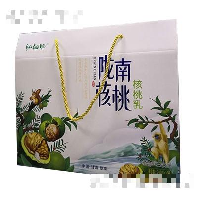 甘肅桃源飲品股份有限公司