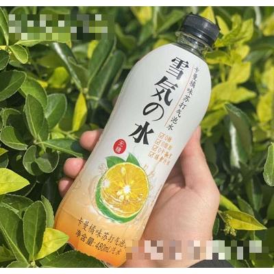 RIO卡曼橘味蘇打氣泡水480ml
