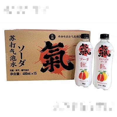 西柚味蘇打氣泡水480mlx15瓶