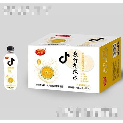 程仕卡曼橘蘇打氣泡水480mlx15