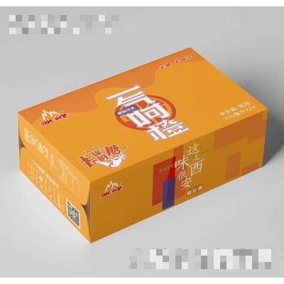 冰峰橙味汽水（箱）