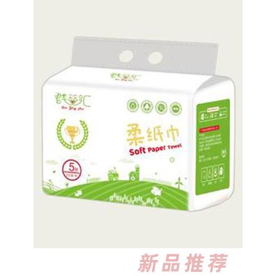 泉州市團圓衛(wèi)生用品有限公司