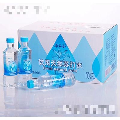 河北梨鄉(xiāng)禧源水業(yè)有限公司