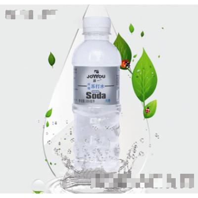 河南鵬程綠色飲品有限公司