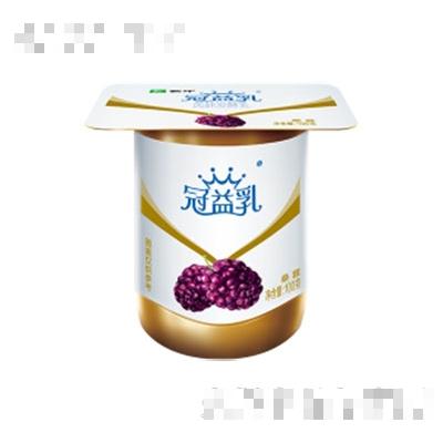 蒙牛冠益乳圓周杯桑葚味