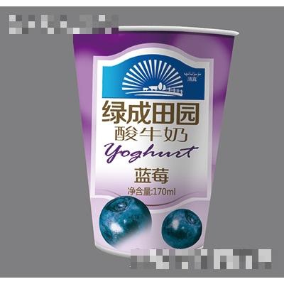 綠成田園酸牛奶藍(lán)莓170ml