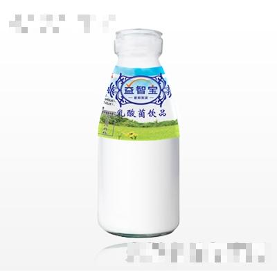 紅梅益智寶乳酸菌飲品（玻璃瓶）